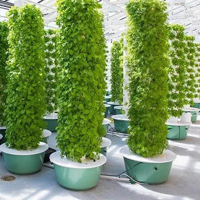 Hydroponic Tower Garden - أنظمة برج الزراعة الهوائية مع إضاءة