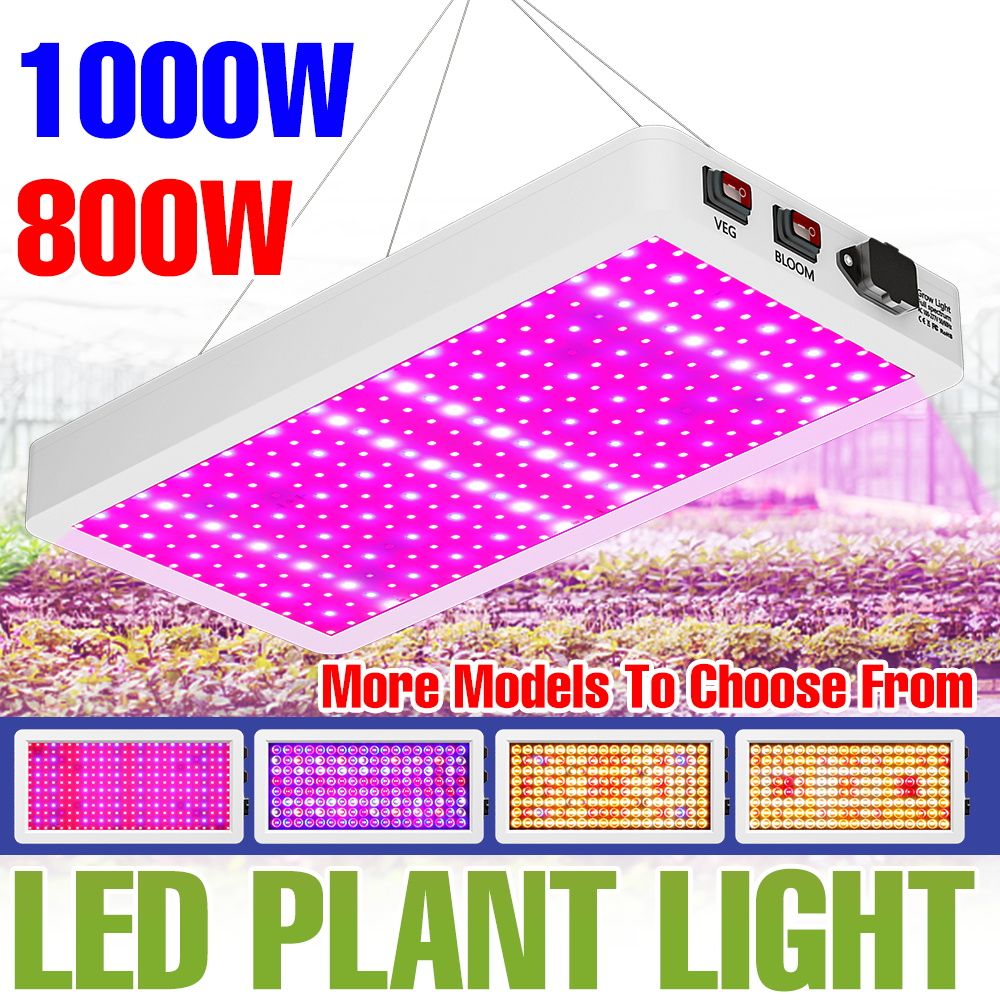 Led Grow Light 1000W Full Spectrum - 1000 واط LED تنمو أضواء الطيف