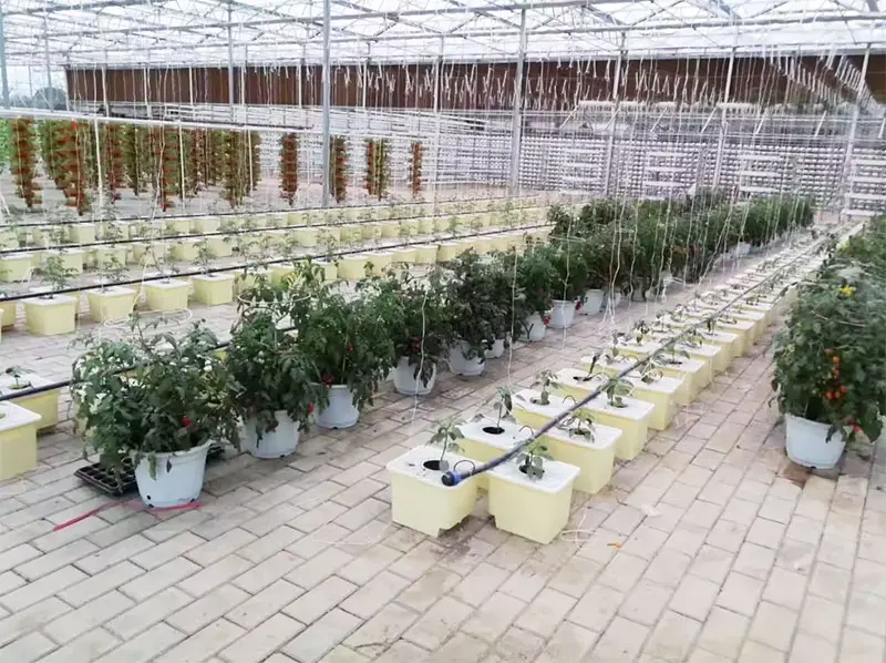 Dwc Bucket System 5 Gallon - نظام زراعة مائية جديد بتقنية Deep