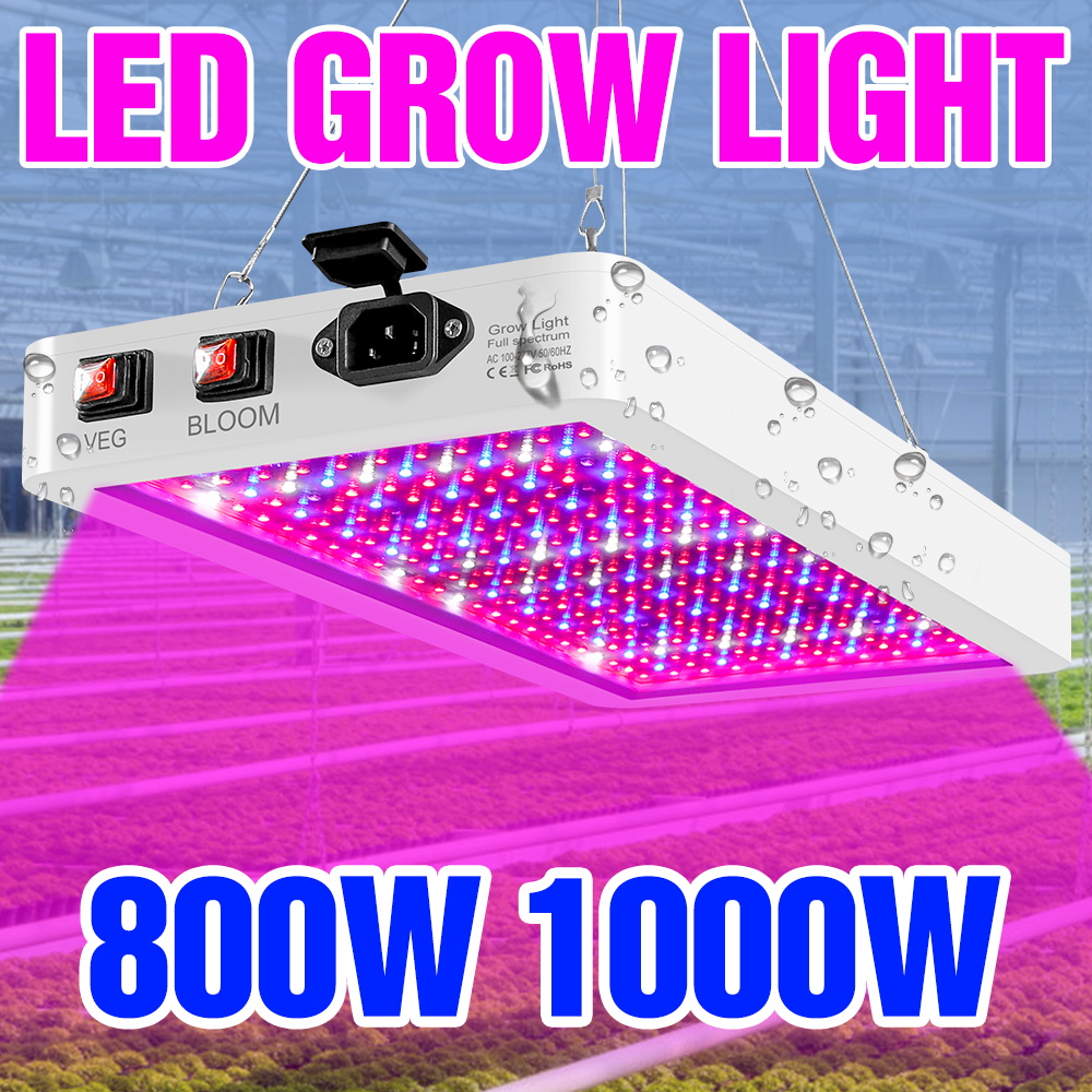 Led Grow Light 1000W Full Spectrum - 1000 واط LED نمو النبات ضوء