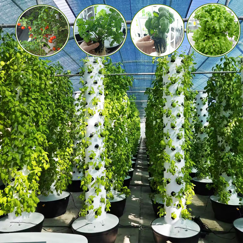 Hydroponic Tower Garden - نظام زراعة عمودي هوائي من لاي
