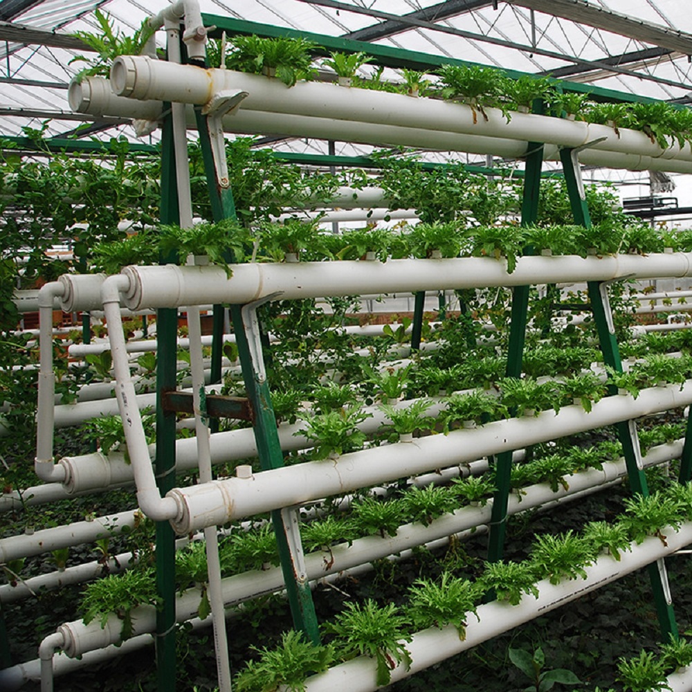 الصانع معدات الزراعة بدون تربة - مراجعة Hydroponic Tower Garden وسعره