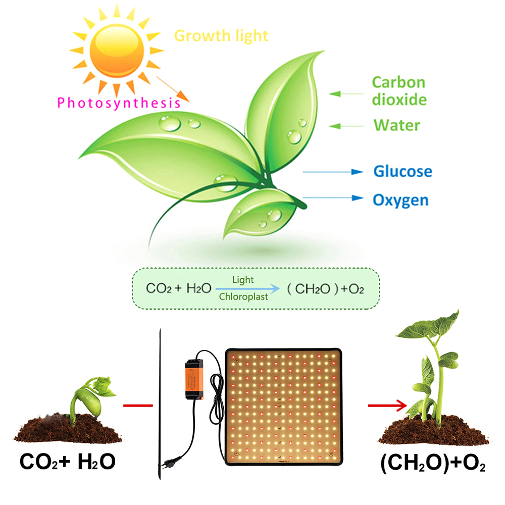 لوحة إضاءة LED للنمو بقوة 1000 - مراجعة Led Grow Light 1000W Full Spectrum وسعره