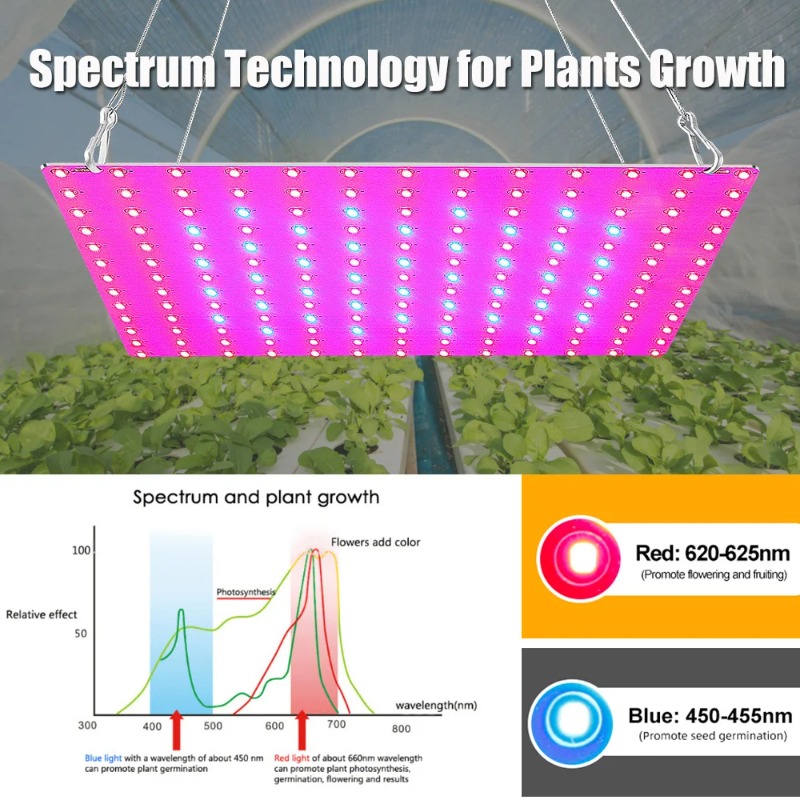 LED نمو النبات ضوء 1000 واط/20 - مراجعة Led Grow Light 1000W Full Spectrum وسعره