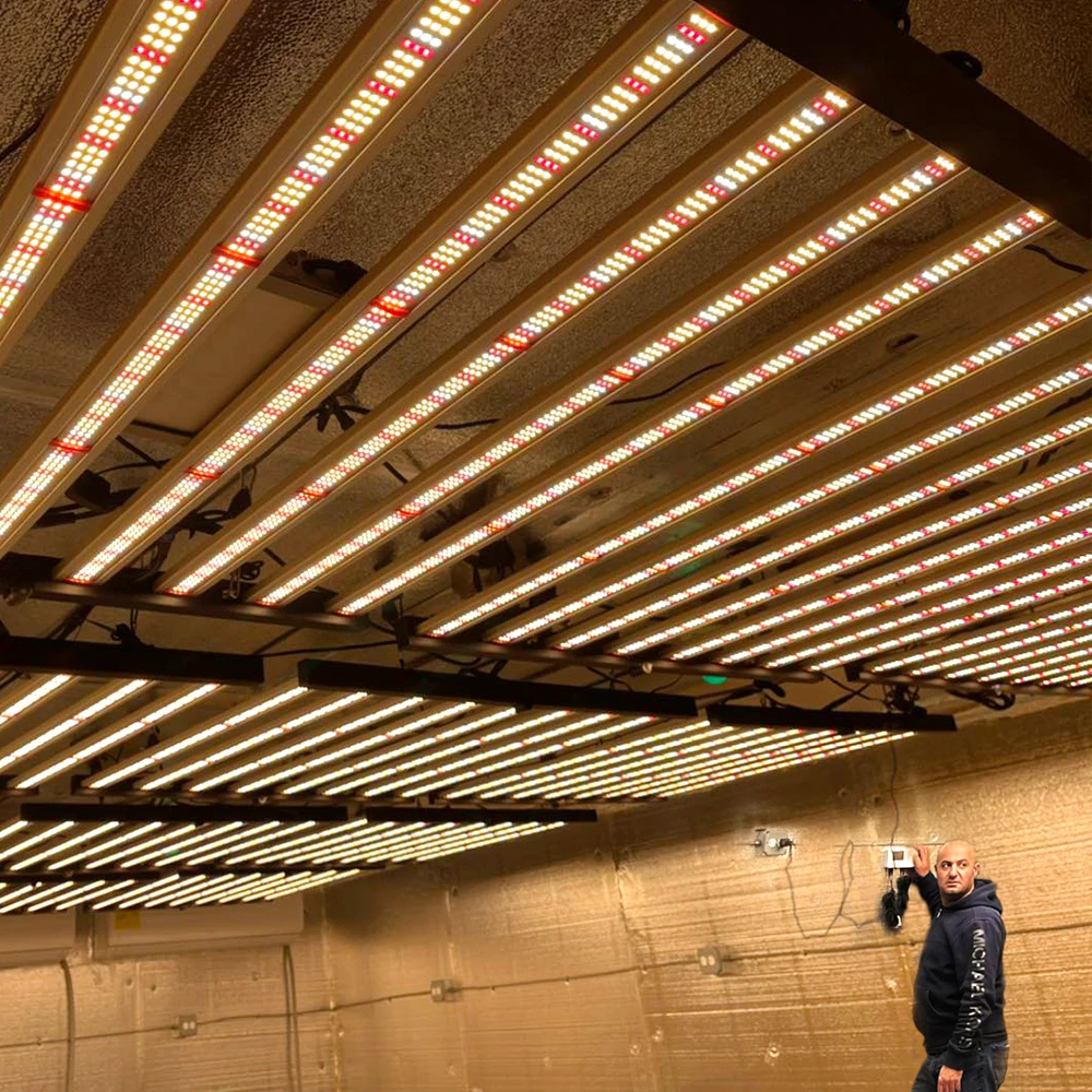 مصباح نمو النباتات LED من Phli - مراجعة Led Grow Light Bar 640W وسعره