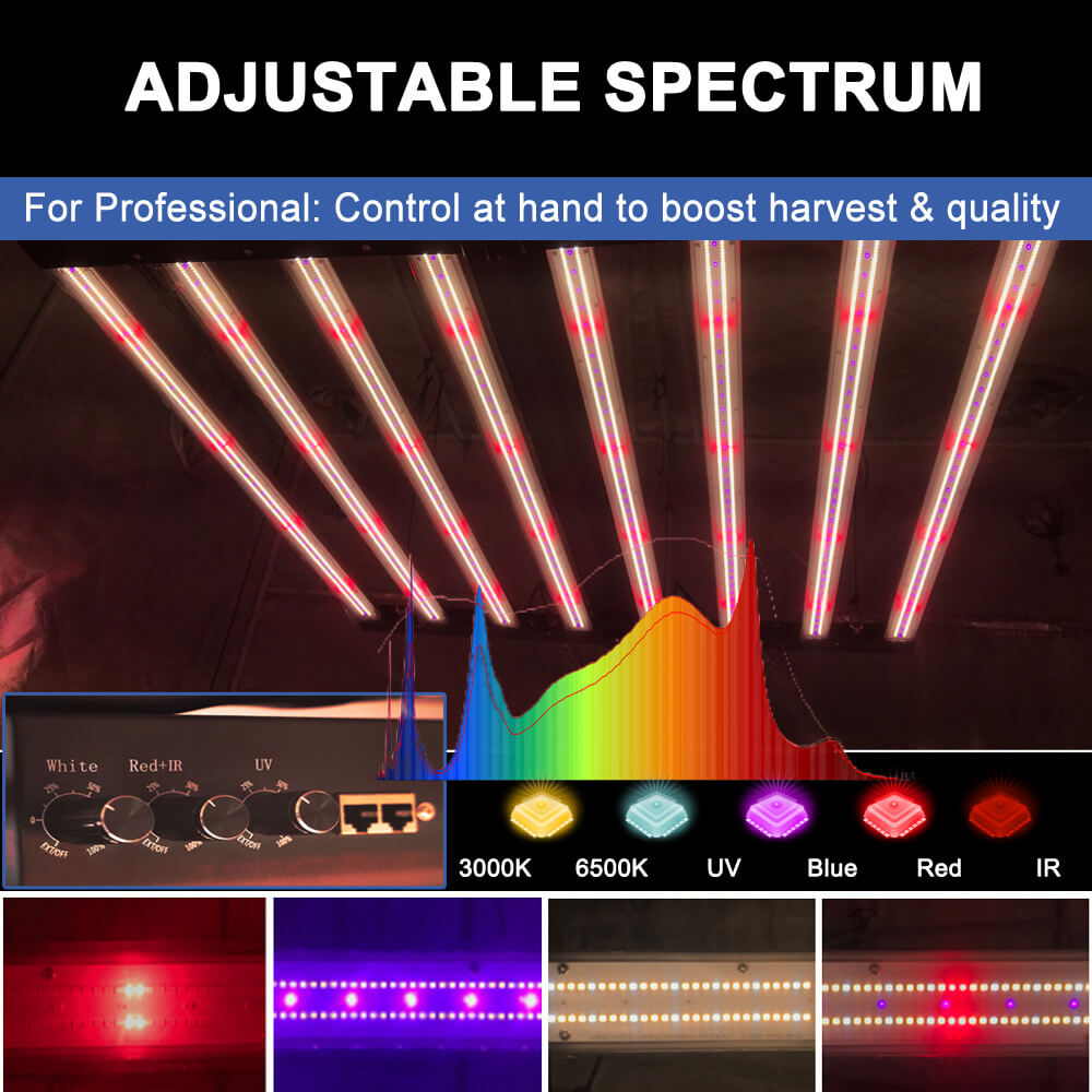 مصابيح LED للنمو النباتي بقوة  - مراجعة Led Grow Light 1000W Full Spectrum وسعره