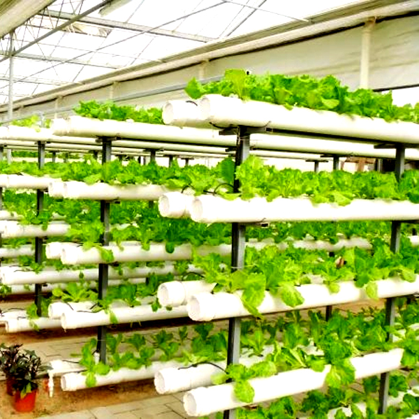 أنظمة زراعة عمودية خارجية بدون - مراجعة Hydroponic Tower Garden وسعره