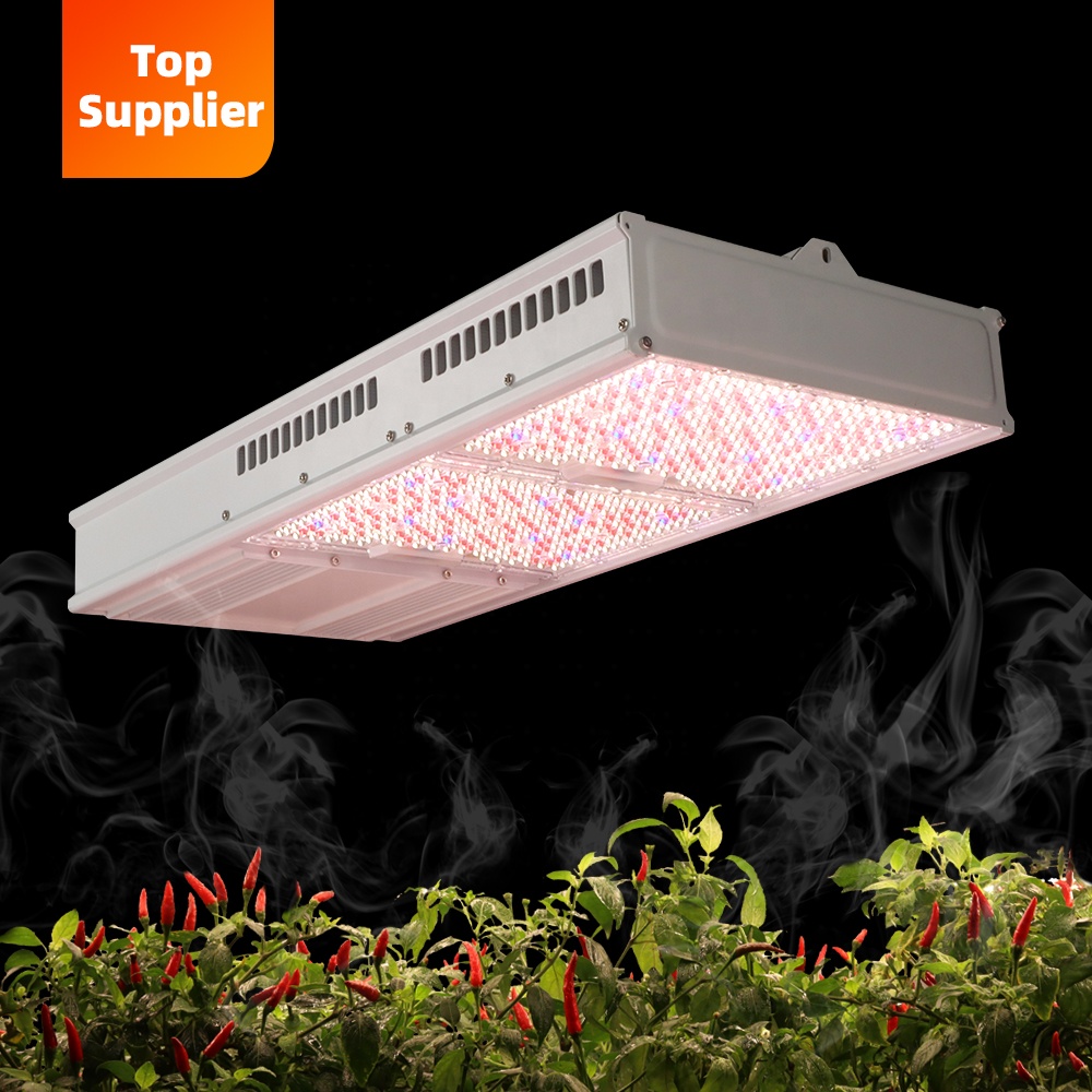 مصباح نمو نباتات LED داخلي فعا - مراجعة Led Grow Light 1000W Full Spectrum وسعره