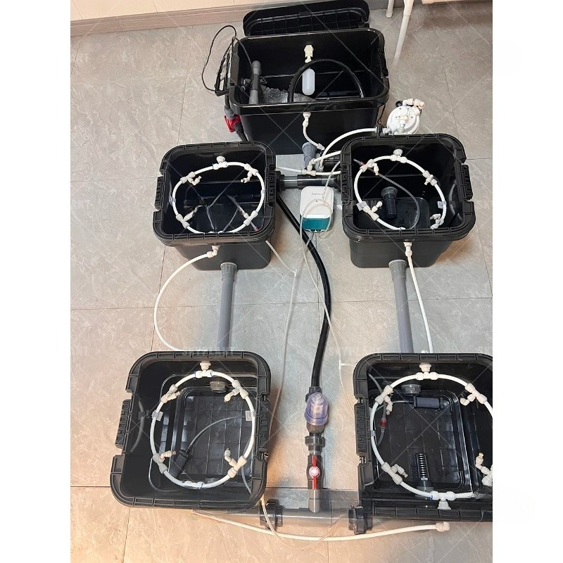 5 جالون دلو هولندي فقاعة المائ - مراجعة Dwc Bucket System 5 Gallon وسعره