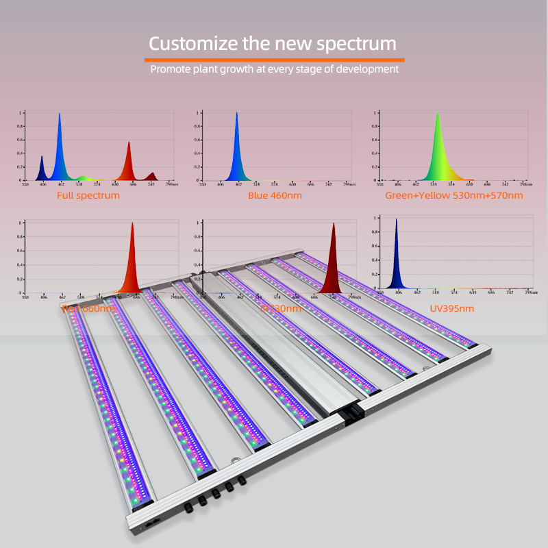 شريط إضاءة LED للنمو النباتي ب - مراجعة Led Grow Light 1000W Full Spectrum وسعره