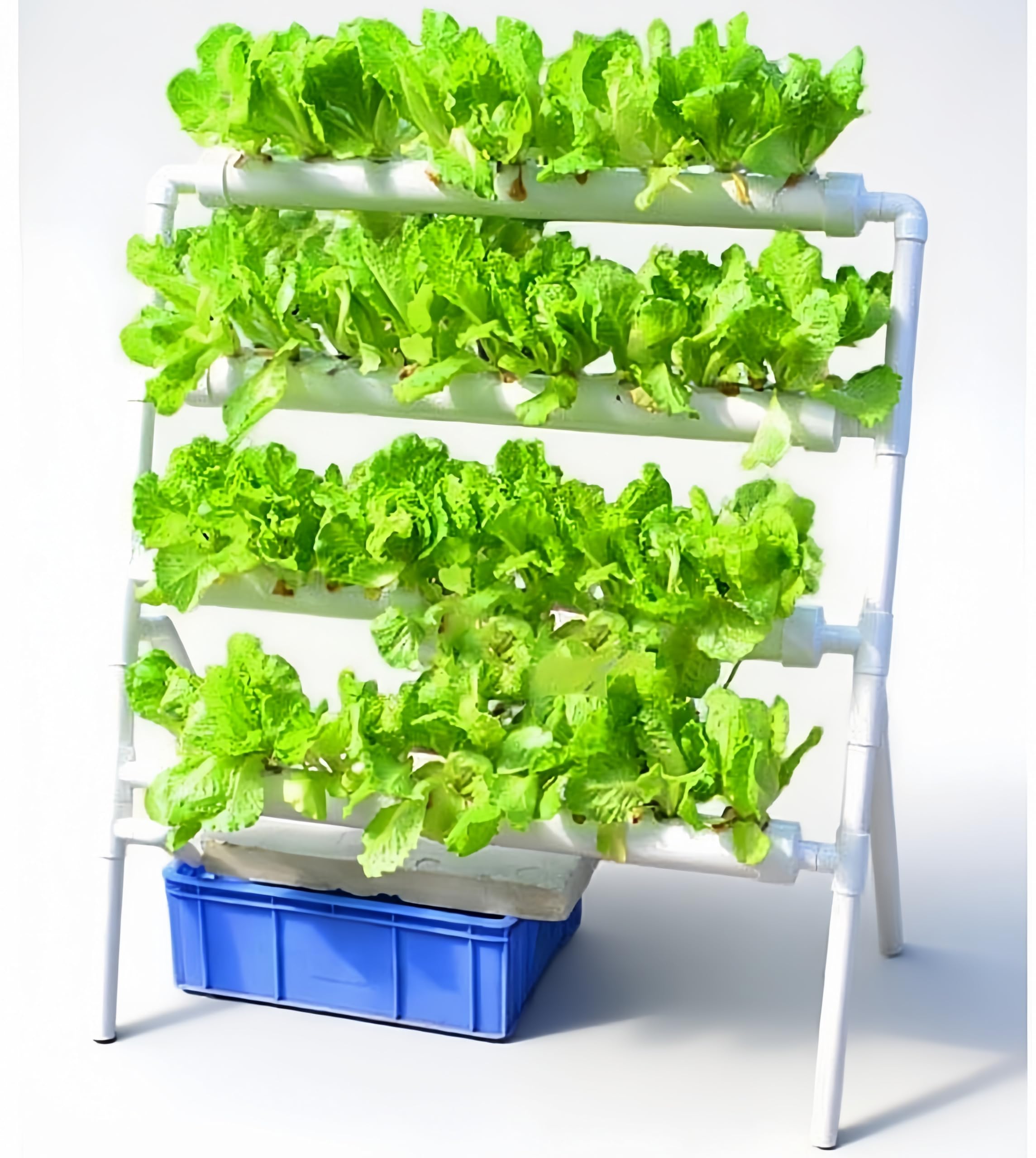 نظام زراعة مائي بـ 36 موقعًا ل - مراجعة Hydroponic Growing System 36 Site وسعره