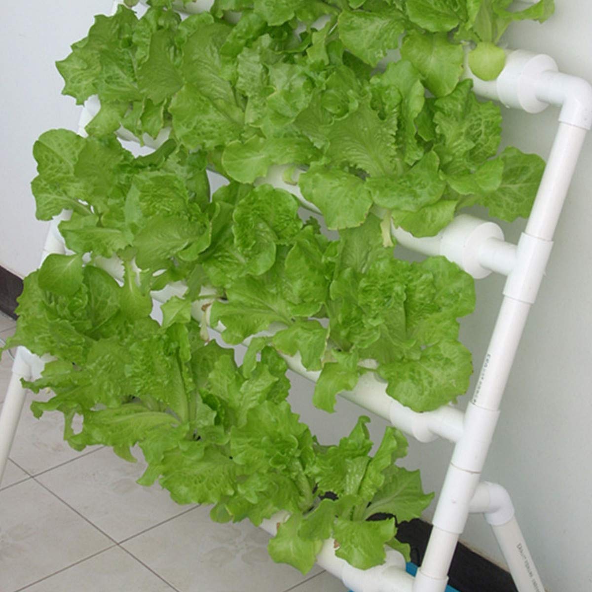 نظام زراعة مائي بـ 36 موقعًا ل - مراجعة Hydroponic Growing System 36 Site وسعره