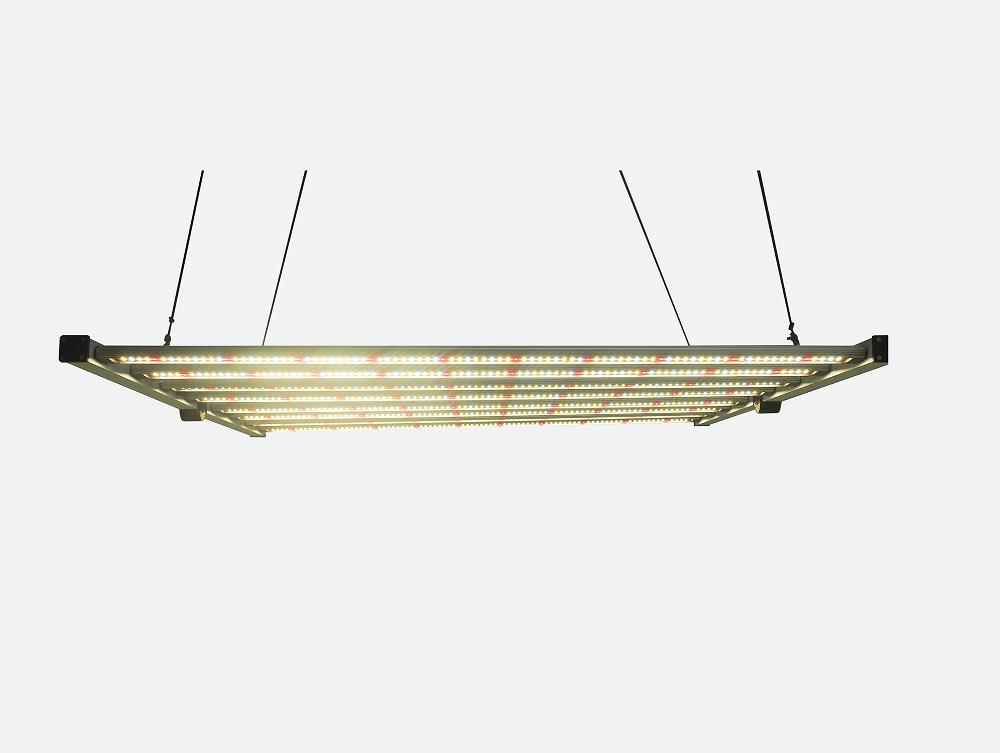 البستنة الدفيئة المائية LED تن - مراجعة Led Grow Light 1000W Full Spectrum وسعره