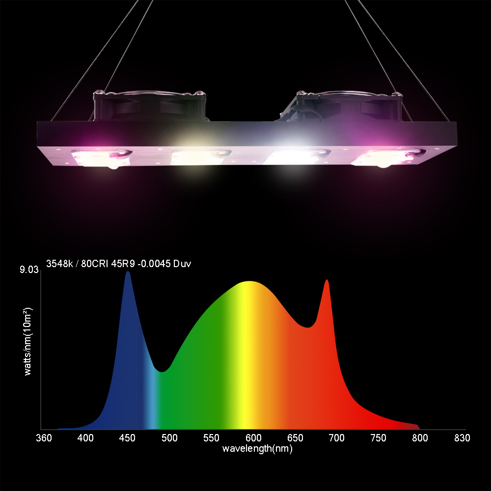 الطيف الكامل LED النبات تنمو ض - مراجعة Led Grow Light 1000W Full Spectrum وسعره