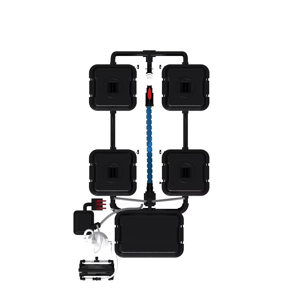 نظام ري الحدائق الأوتوماتيكي D - مراجعة Dwc Bucket System 5 Gallon وسعره