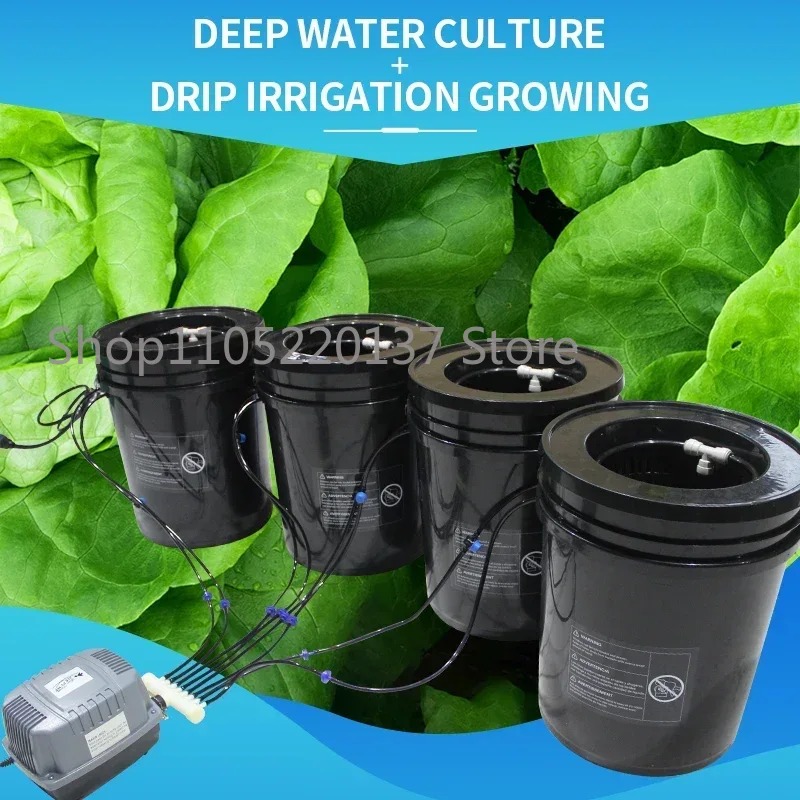 نظام الزراعة المائية بالتنقيط  - مراجعة Dwc Bucket System 5 Gallon وسعره
