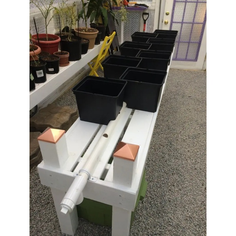 نظام ري حدائق أوتوماتيكي، دلو  - مراجعة Dwc Bucket System 5 Gallon وسعره