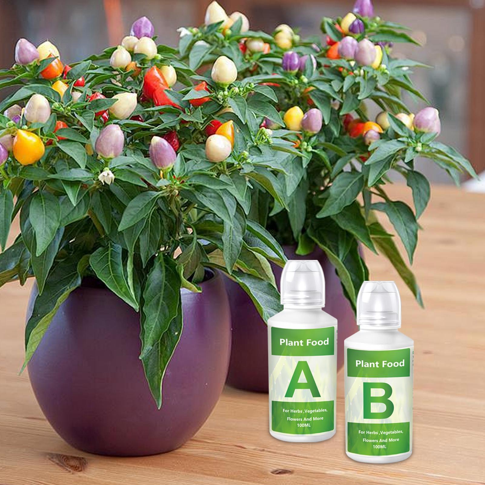 محلول مغذي للنباتات المائية في - مراجعة Hydroponic Nutrient A B Set وسعره