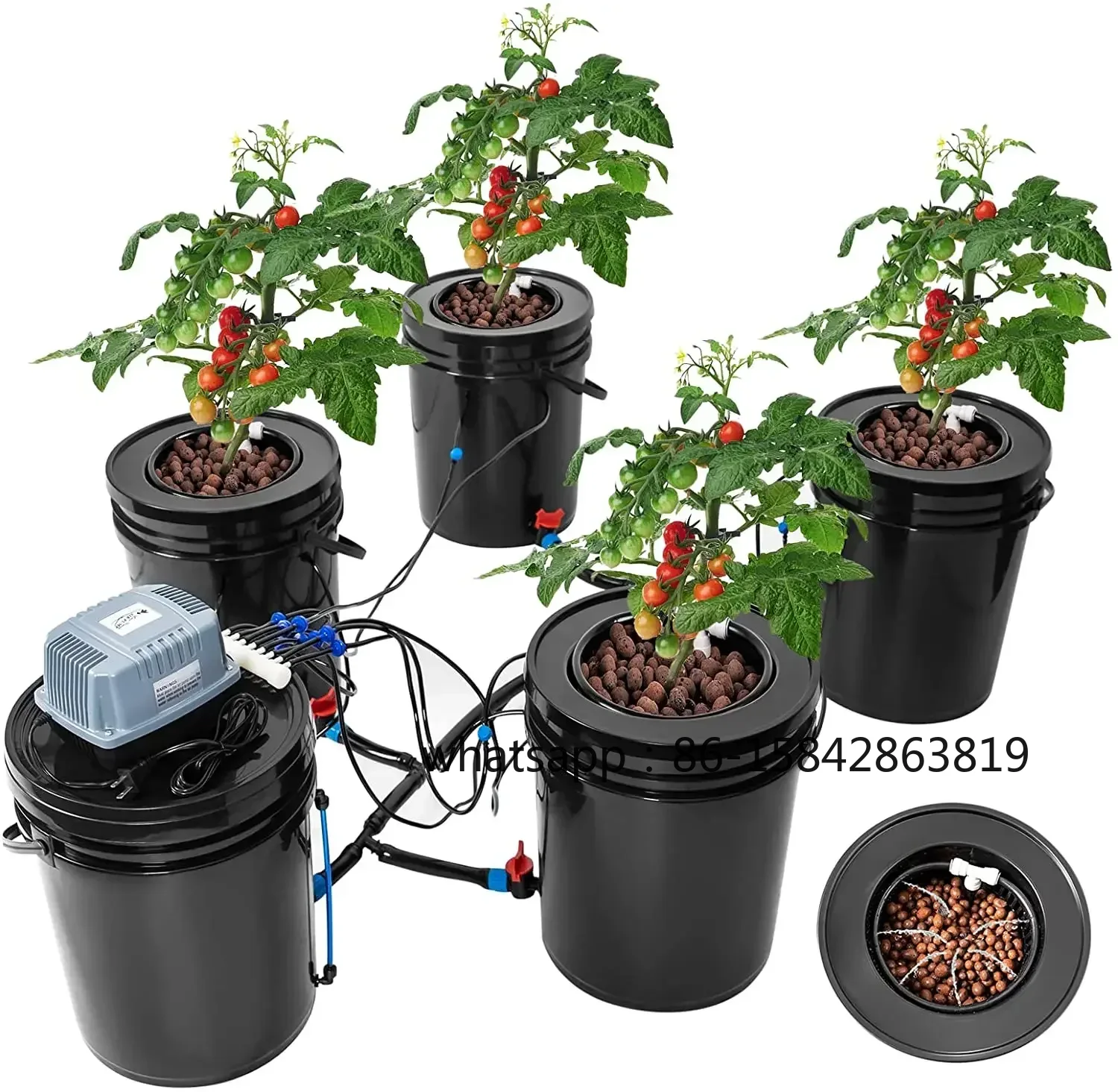 نظام زراعة مائي جديد بتقنية De - مراجعة Dwc Bucket System 5 Gallon وسعره
