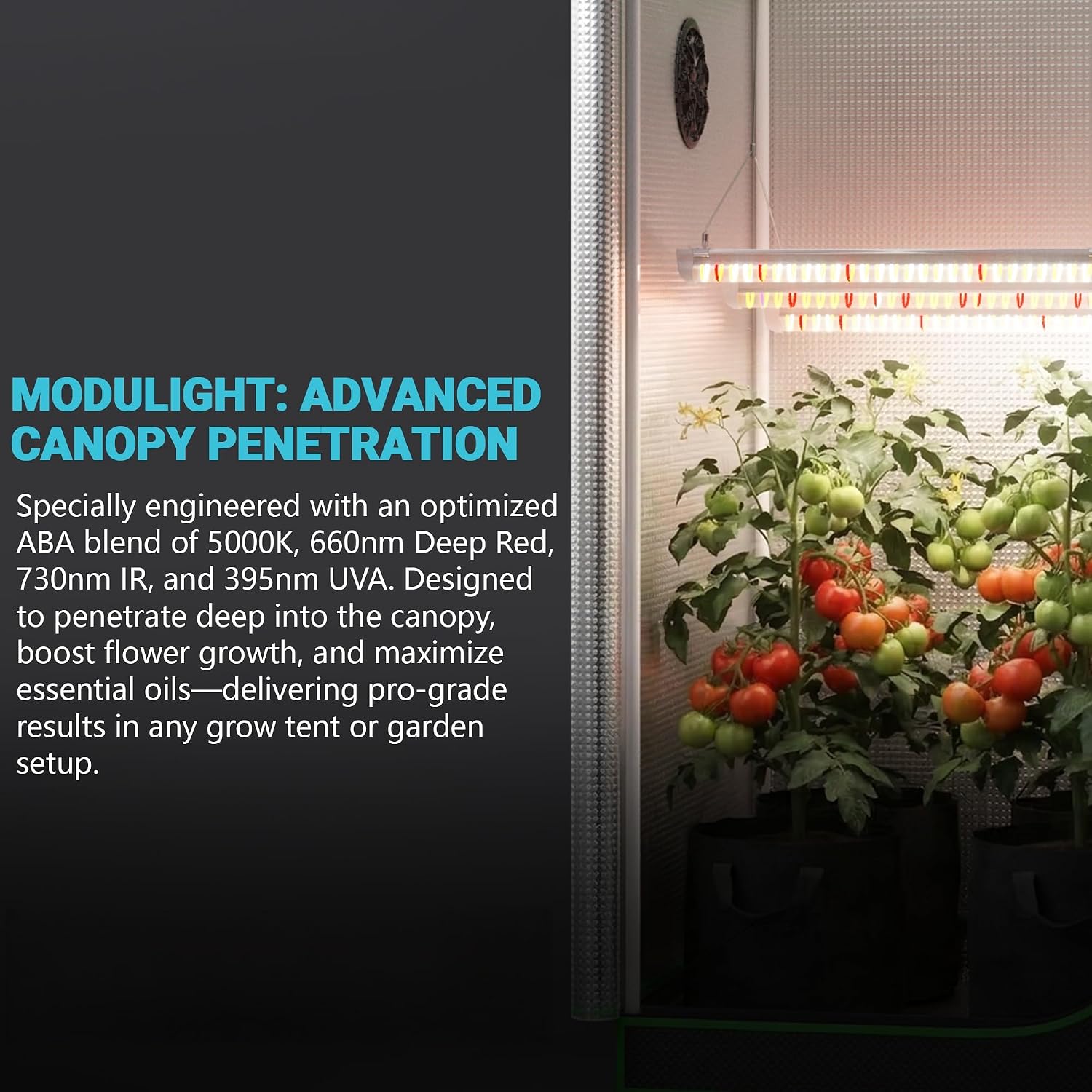 مجموعة كاملة لخيمة الزراعة الد - مراجعة Carbon Filter Grow 6 Inch وسعره