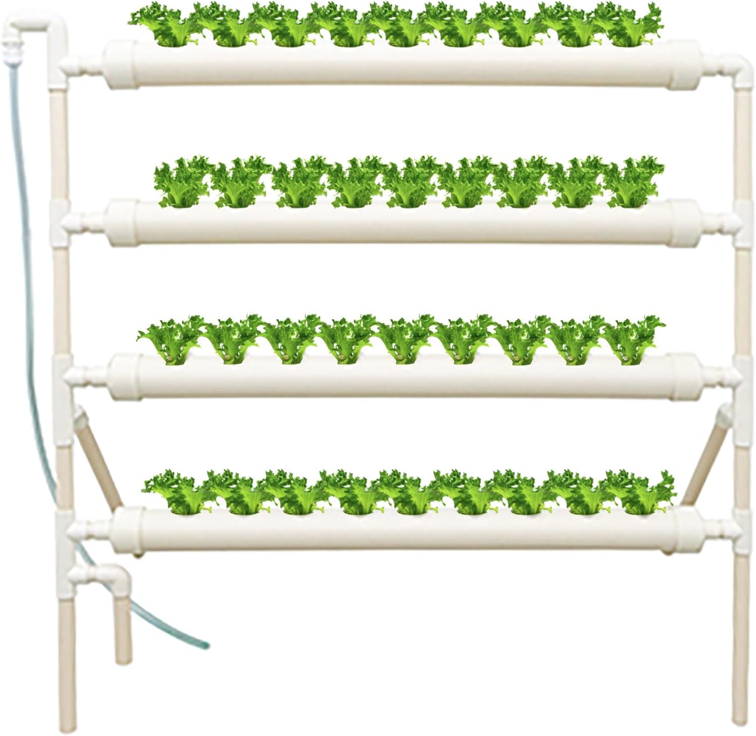 نظام زراعة مائية بـ 36 فتحة و4 - مراجعة Hydroponic Growing System 36 Site وسعره