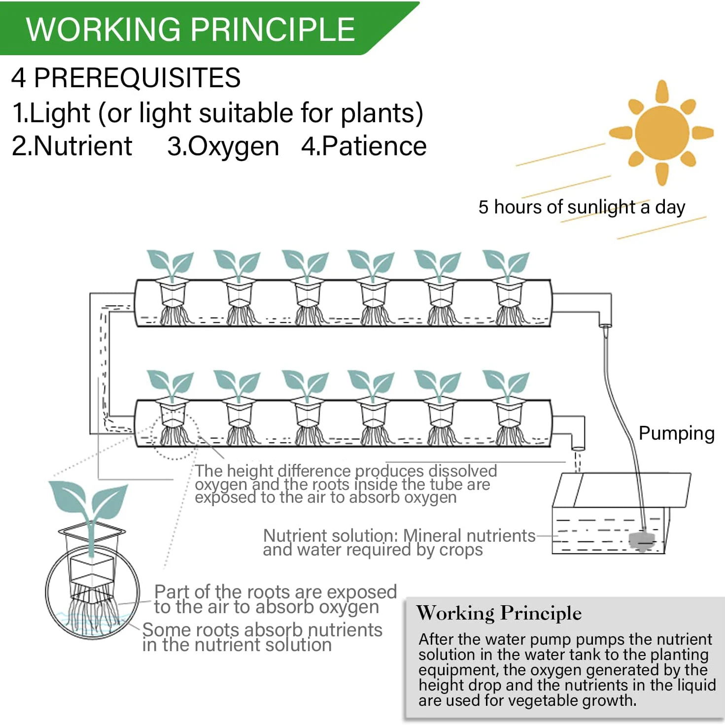 مجموعات نظام زراعة الزراعة الم - مراجعة Hydroponic Growing System 36 Site وسعره