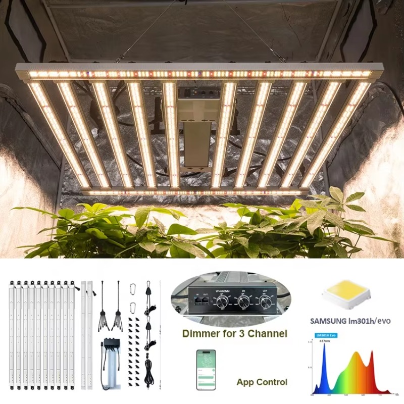 4x4 تزايد خيمة مجموعة كاملة 48 - مراجعة Carbon Filter Grow 6 Inch وسعره