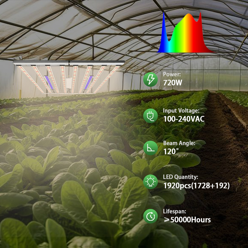 مصباح نمو LED بقوة 1000 واط، ط - مراجعة Led Grow Light 1000W Full Spectrum وسعره