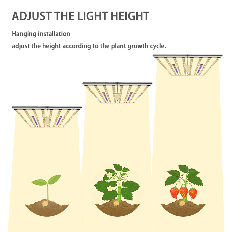 مصباح نمو LED بقوة 1000 واط، ط - مراجعة Led Grow Light 1000W Full Spectrum وسعره