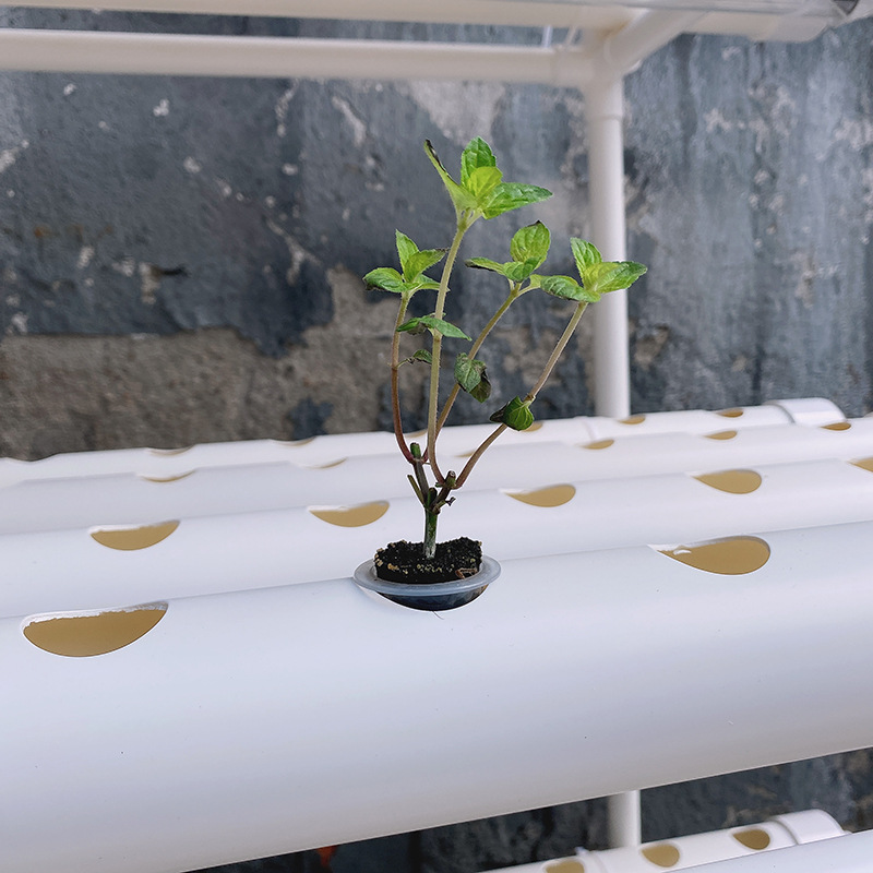 زراعة خضروات مائية آلية ، نظام - مراجعة Hydroponic Growing System 36 Site وسعره