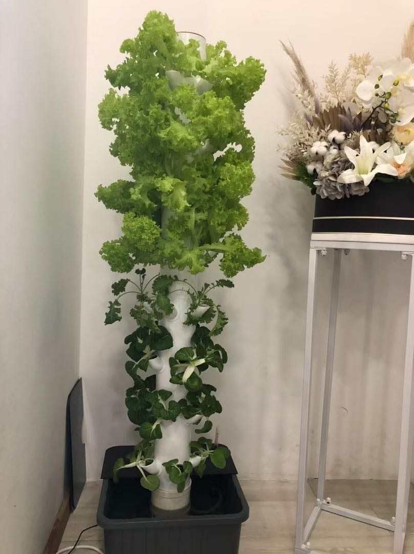 برج زراعة عمودي هيدروبوني للنب - مراجعة Hydroponic Tower Garden وسعره