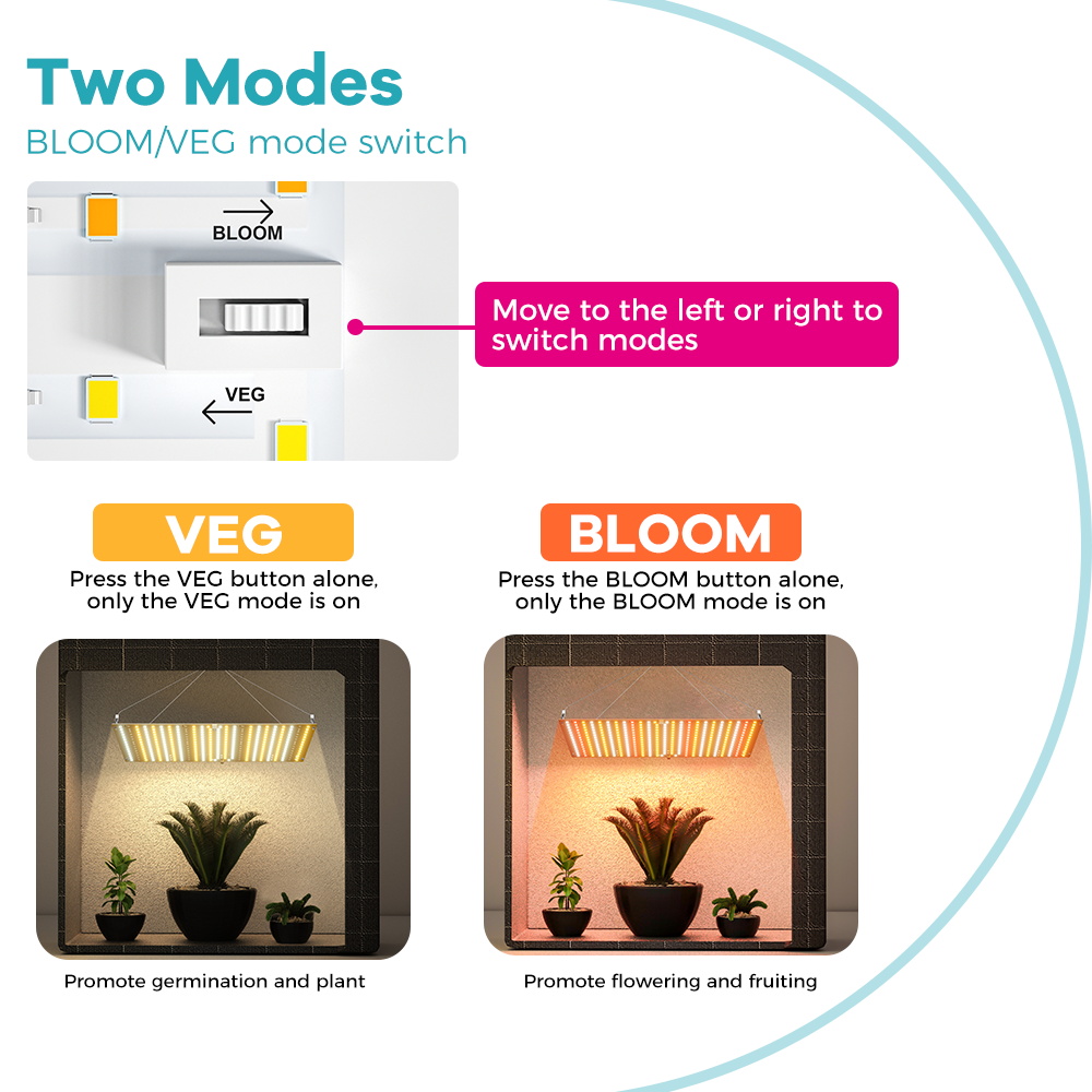 مصباح LED لنمو النباتات بقوة 8 - مراجعة Led Grow Light 1000W Full Spectrum وسعره