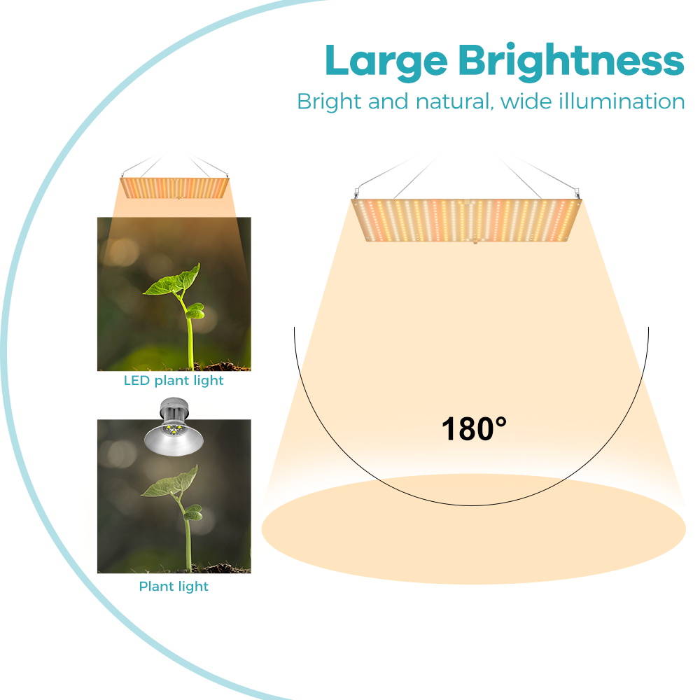 مصباح LED لنمو النباتات بقوة 8 - مراجعة Led Grow Light 1000W Full Spectrum وسعره