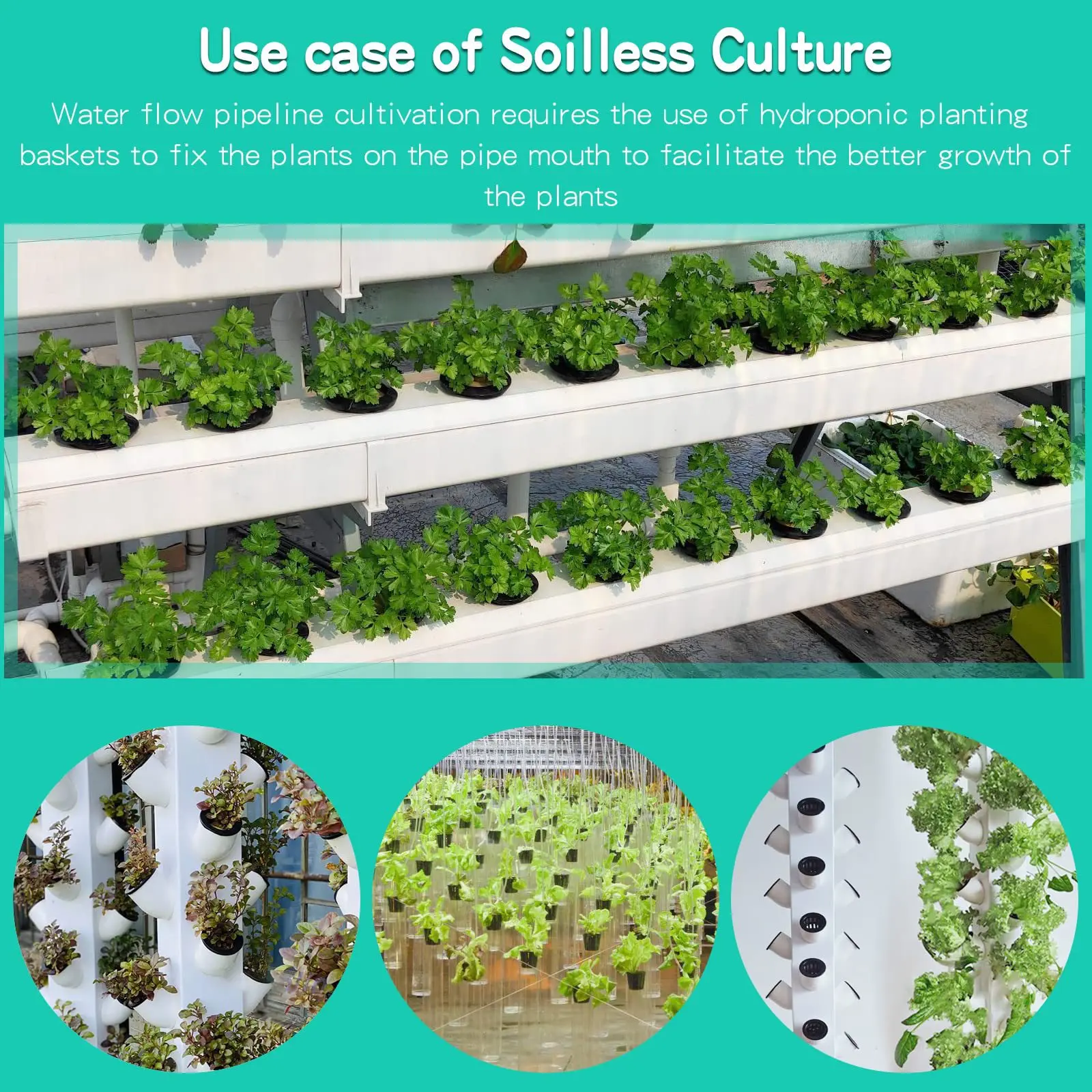 10 قطعة 3 بوصة أكواب الزراعة ا - مراجعة Hydroponic Net Pots 3 Inch وسعره