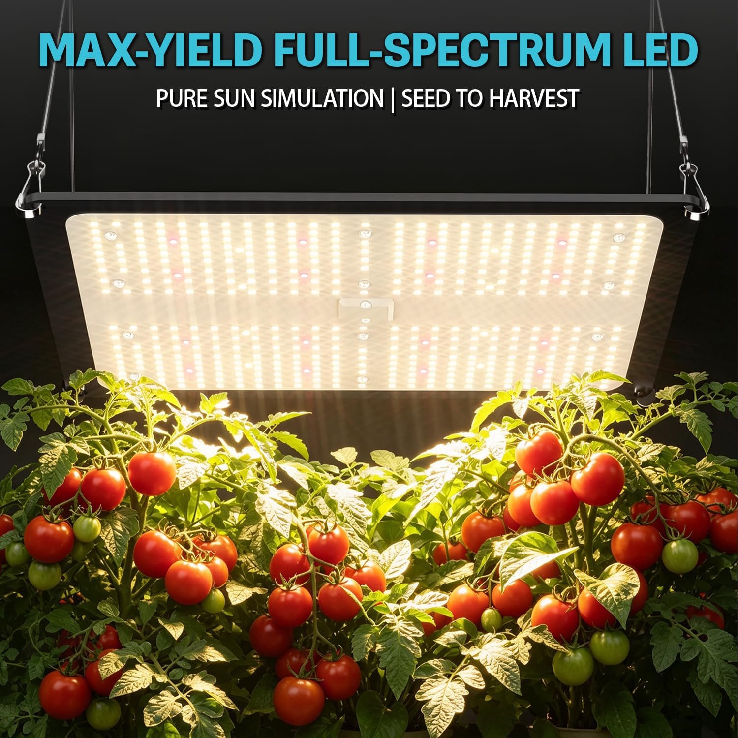 مجموعة كاملة لخيمة الزراعة 4x4 - مراجعة Grow Tent 4X4 Mylar وسعره
